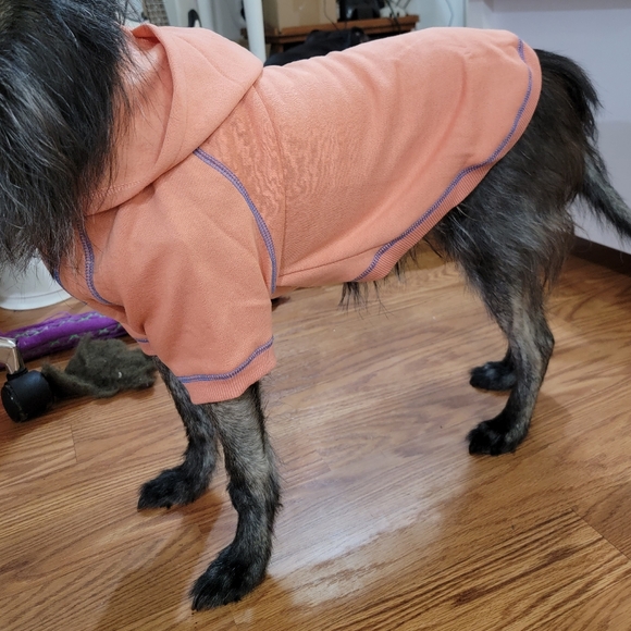 Blueberry Other - Blueberry Cozy Small Dog Hoodie With Leash Hole